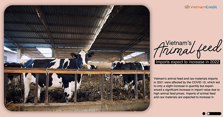Vietnam’s animal feed imports expect to increase in 2022